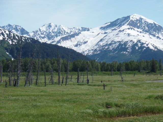 Mountains Near Portage