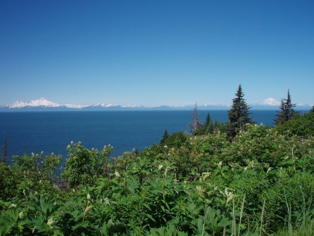 Mt ILiamna and Mt Redoubt