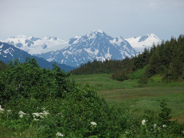 Along Seward Highway Looking Toward Turnagain Arm