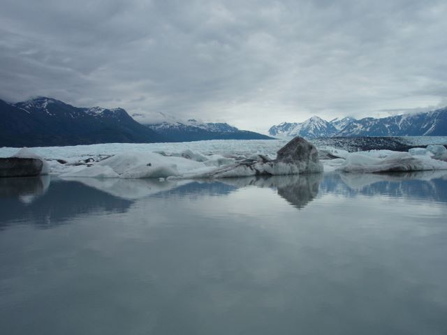 Near the Iceburgs in the Lake in Front of the Glacier.  Just 7 years ago the Knik Glacier ended here but has receded 3 miles.