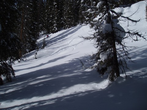 skiing image