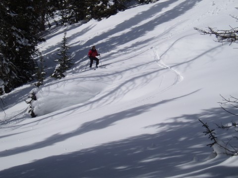 skiing image