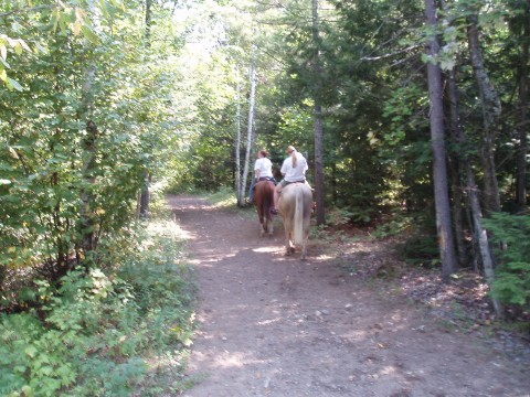 horseback riding