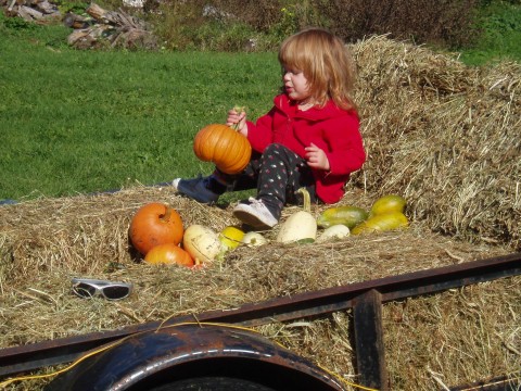 Hay ride