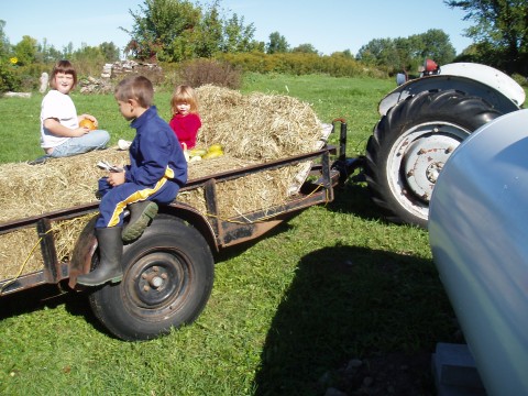 Hay ride